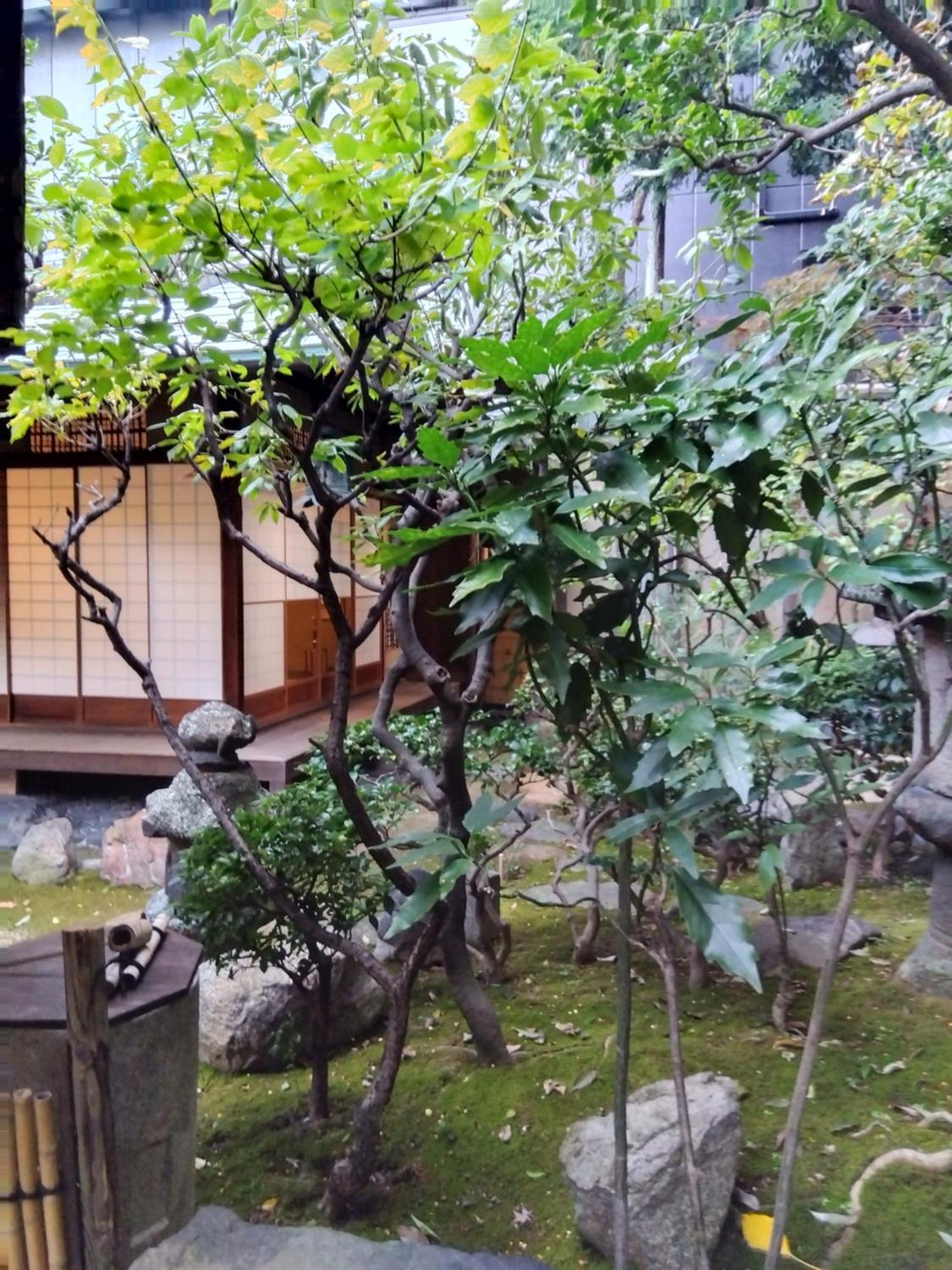 日昇別荘 京都市 エクステリア 写真